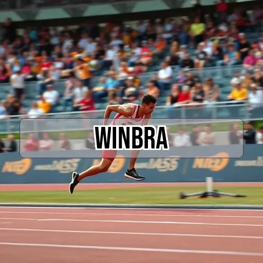 winbra Perguntas